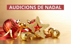 Audicions de Nadal de les aules dinstrument