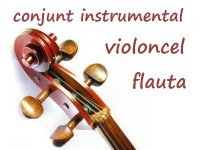 AVUI: AUDICIONS DE LAULA DE VIOLONCEL, FLAUTA I EL CONJUNT INSTRUMENTAL ADULTS