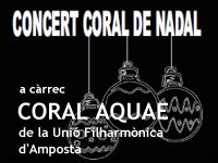 CONCERT DE NADAL DE LA CORAL AQUAE DE LA FILA