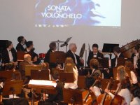 CONCERT SOLIDARI A FAVORS DELS AFECTATS DE FIBROMIALGIA